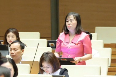 Đại biểu Quốc hội: Doanh nghiệp Nhà nước làm gì để đóng góp tăng trưởng 8%?