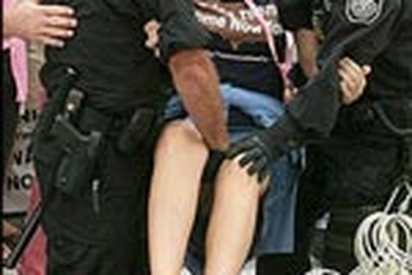 "Bà mẹ hòa bình" bị bắt