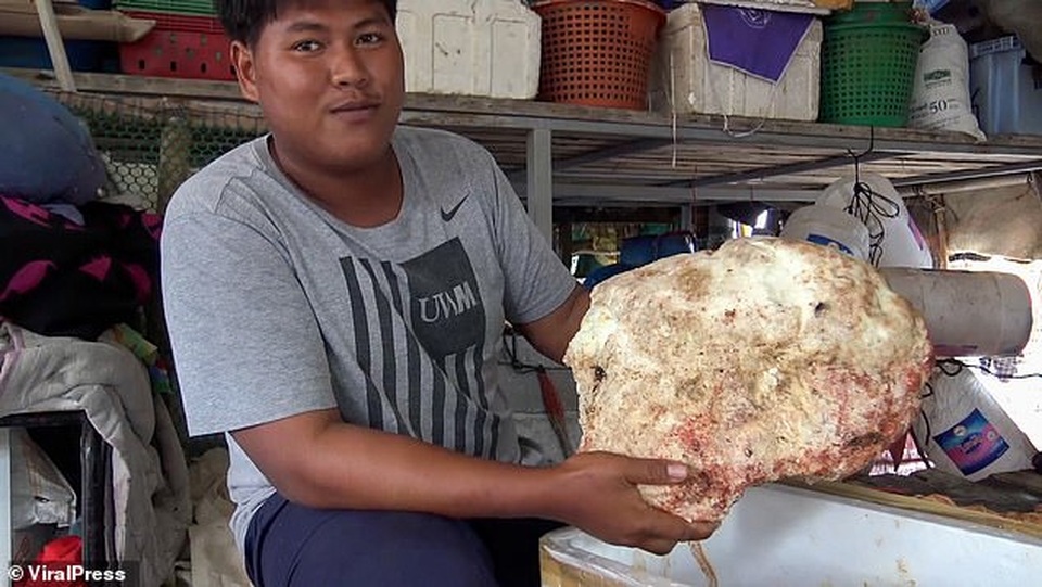 Ngư dân vô tình nhặt được khối chất nôn nặng 7 kg đáng giá cả gia tài - 1