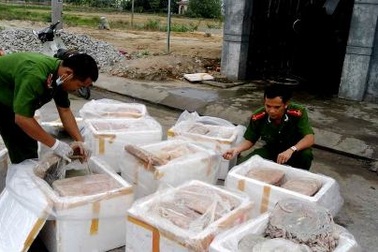 Quảng Nam: 600kg nội tạng thối chuẩn bị vào nhà hàng