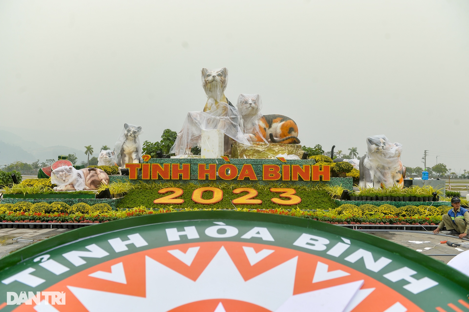 Gia đình linh vật mèo chào Xuân Quý Mão 2023 ở Hòa Bình - 2 Gia đình linh vật mèo chào Xuân Quý Mão 2023 ở Hòa Bình - 2