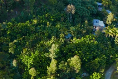 Choáng ngợp "khu rừng thực phẩm" của gia đình sau hơn một thập kỷ chăm sóc