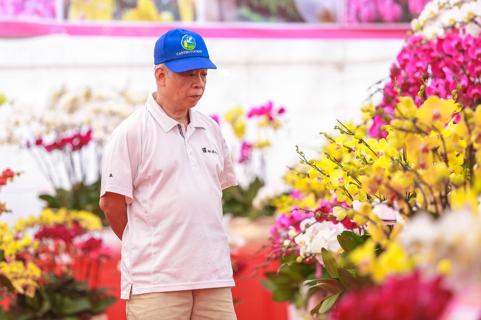 Chậu lan hồ điệp “khủng” cao hai mét, giá trăm triệu phục vụ đại gia chơi Tết Canh Tý - 13 Chậu lan hồ điệp “khủng” cao hai mét, giá trăm triệu phục vụ đại gia chơi Tết Canh Tý - 13