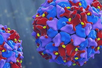 Virus bại liệt có nguy cơ xâm nhập, vắc xin là "lá chắn" tốt nhất