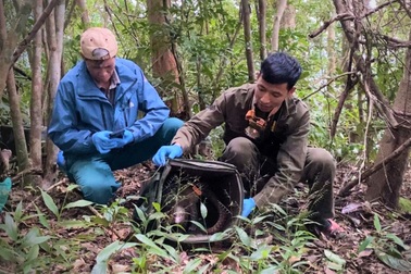 Tái thả 7 cá thể tê tê java quý hiếm về rừng