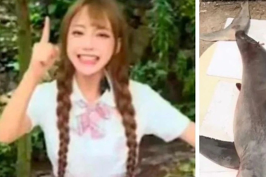 Cái kết "đắng" của cô gái Trung Quốc liều ăn thịt cá mập để "câu view"