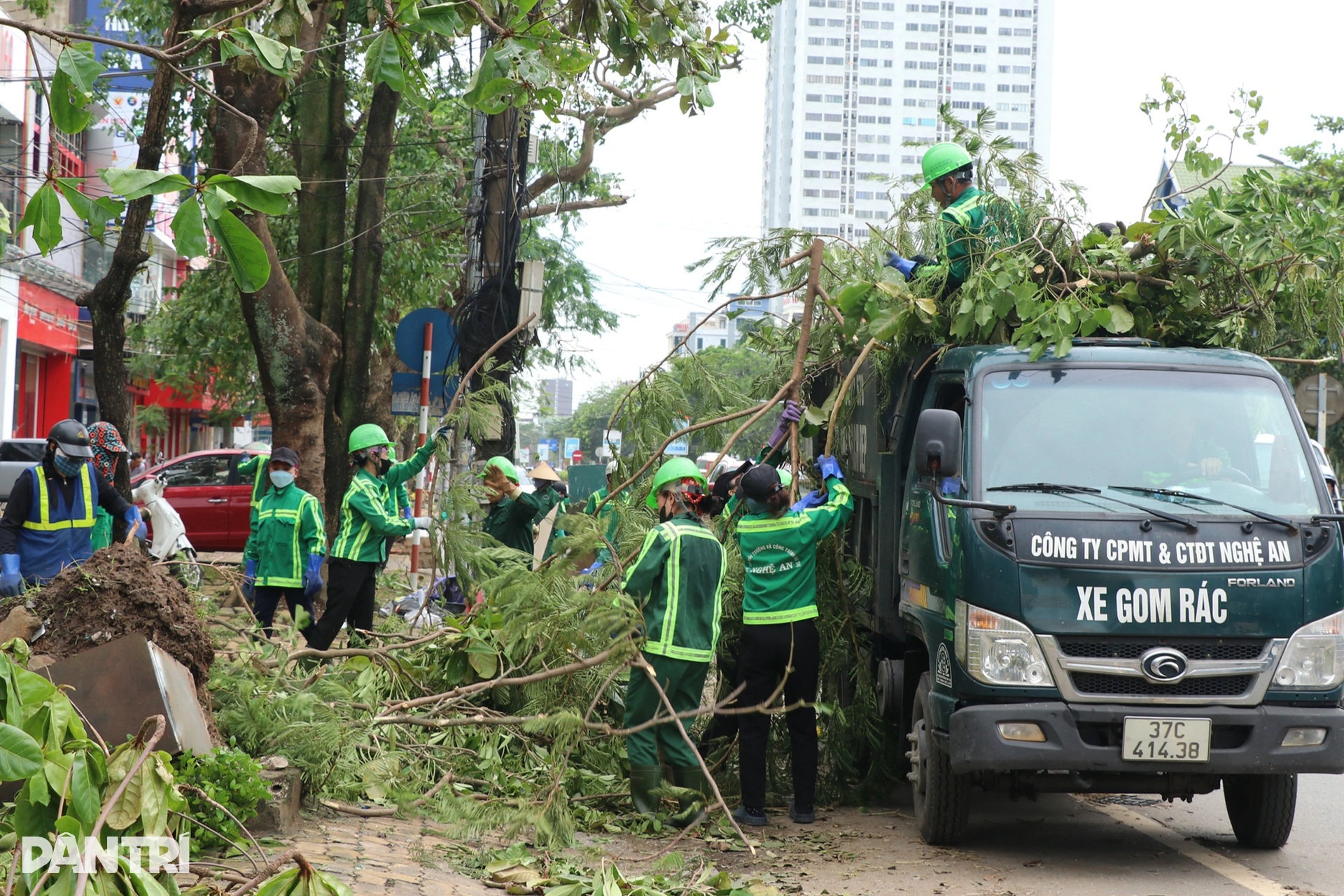 Lượng rác thải khổng lồ sau bão Kajiki - 2 Lượng rác thải khổng lồ sau bão Kajiki - 2