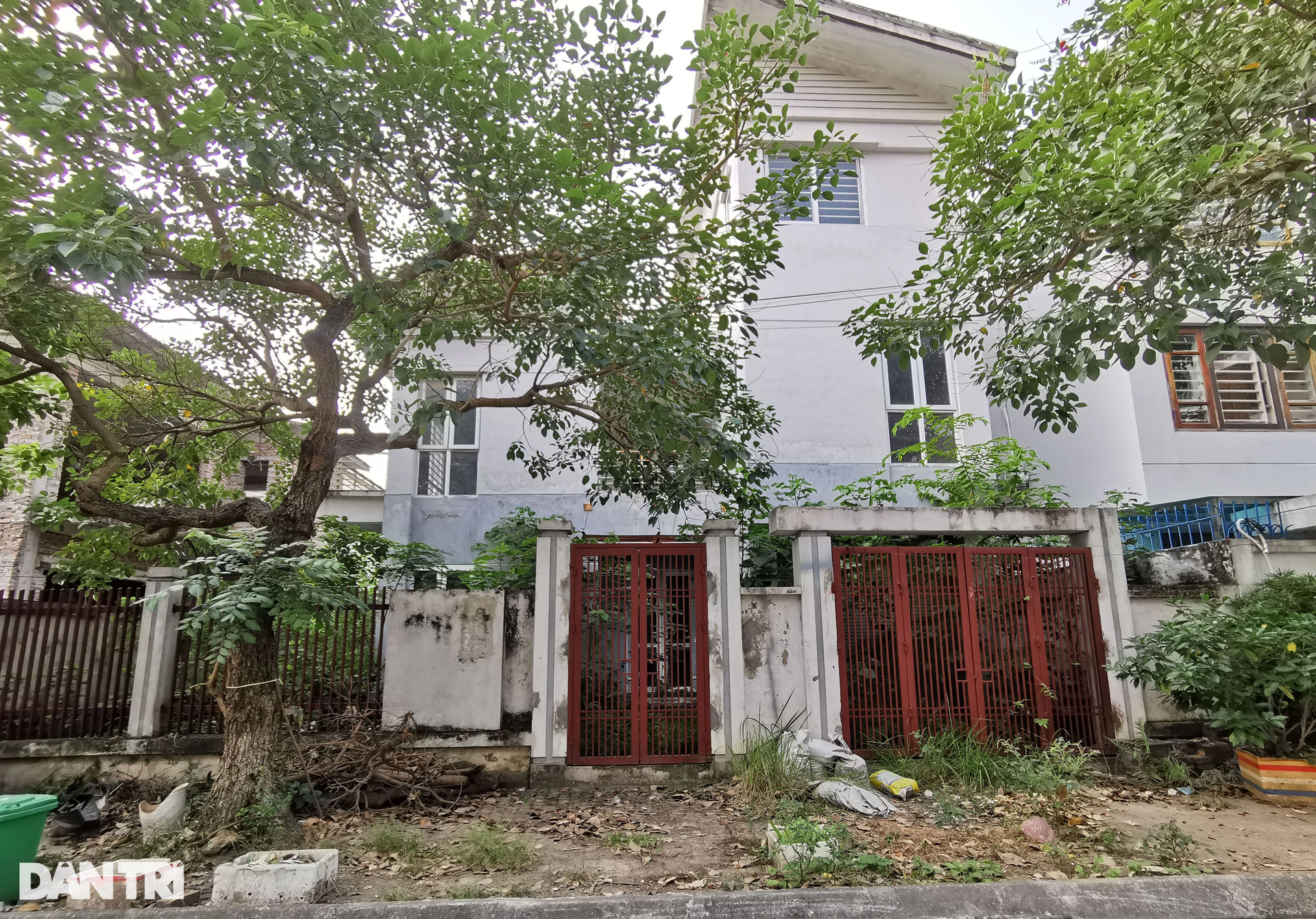 Chuối mọc um tùm trong biệt thự bỏ hoang ở một khu đô thị phía Tây Hà Nội - 6 Chuối mọc um tùm trong biệt thự bỏ hoang ở một khu đô thị phía Tây Hà Nội - 6