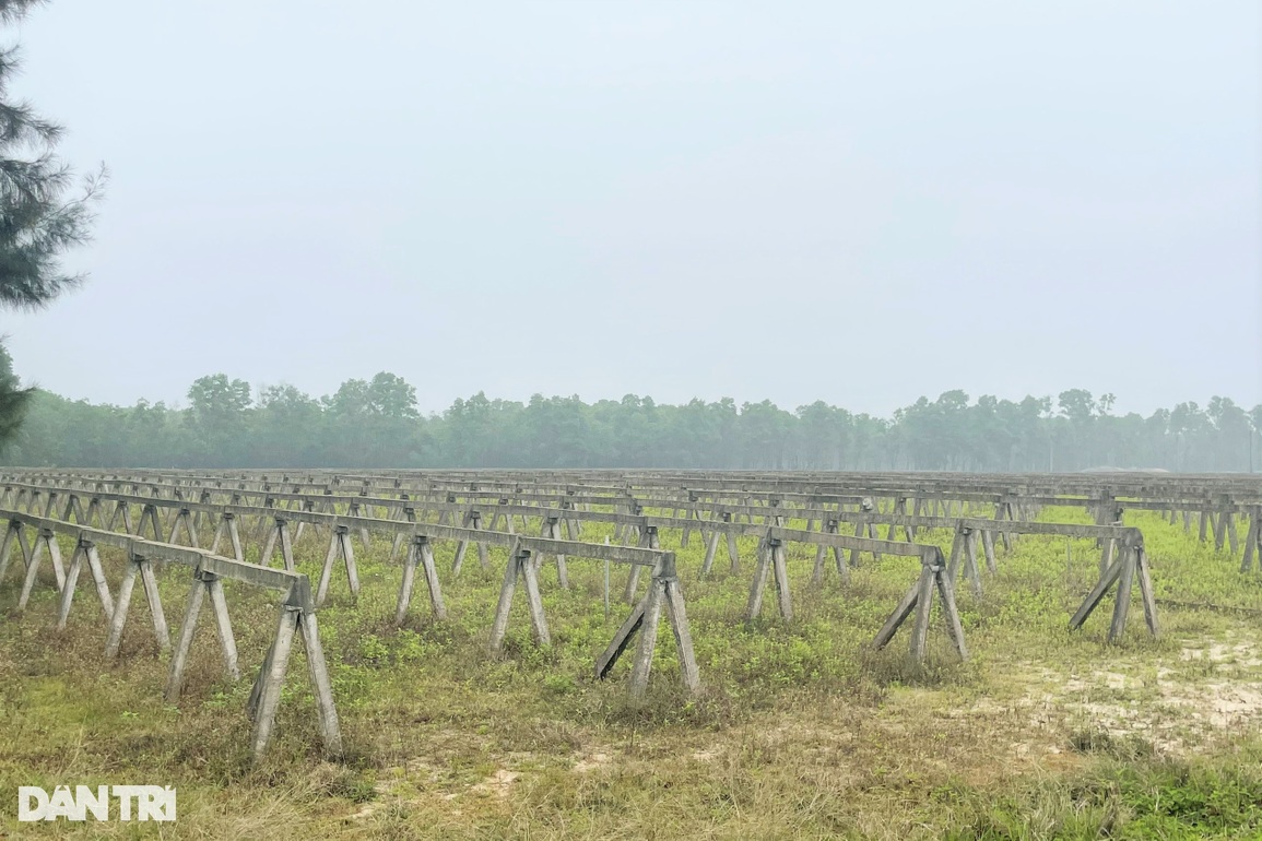 Dự án nông nghiệp công nghệ cao FLC lèo tèo sau 4 năm triển khai - 5 Dự án nông nghiệp công nghệ cao FLC lèo tèo sau 4 năm triển khai - 5