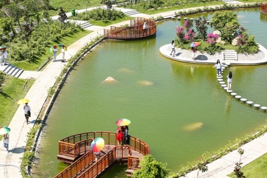 Xuân về trên đỉnh Phù Vân miền Tây