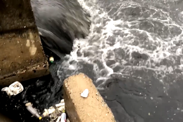 Vi phạm về môi trường, 2 công ty bị xử phạt gần 1 tỷ đồng