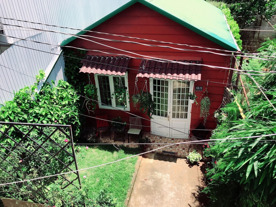 Đóng cửa chuỗi cửa hàng kinh doanh, cô gái ở Lâm Đồng về quê trồng hoa, đọc sách - 3 Đóng cửa chuỗi cửa hàng kinh doanh, cô gái ở Lâm Đồng về quê trồng hoa, đọc sách - 3