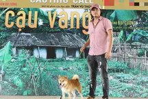 Tranh luận xung quanh chú chó đóng phim “Cậu Vàng”