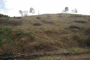 Thanh Hóa: Chặt phá, chuyển đổi đất rừng tràn lan!