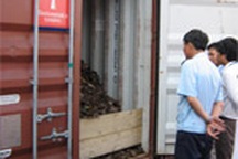 Nhập sắt thép phế liệu ra… “núi rác”