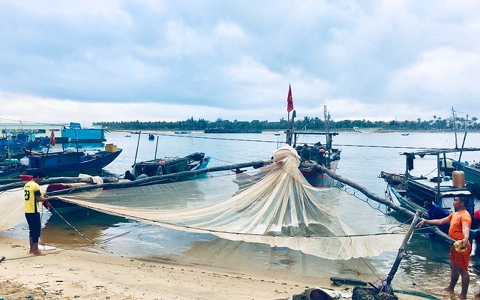 Kiếm 10 triệu/đêm, nhờ ra biển xúc hàng tấn con nhảy lao xao - 10 Kiếm 10 triệu/đêm, nhờ ra biển xúc hàng tấn con nhảy lao xao - 10