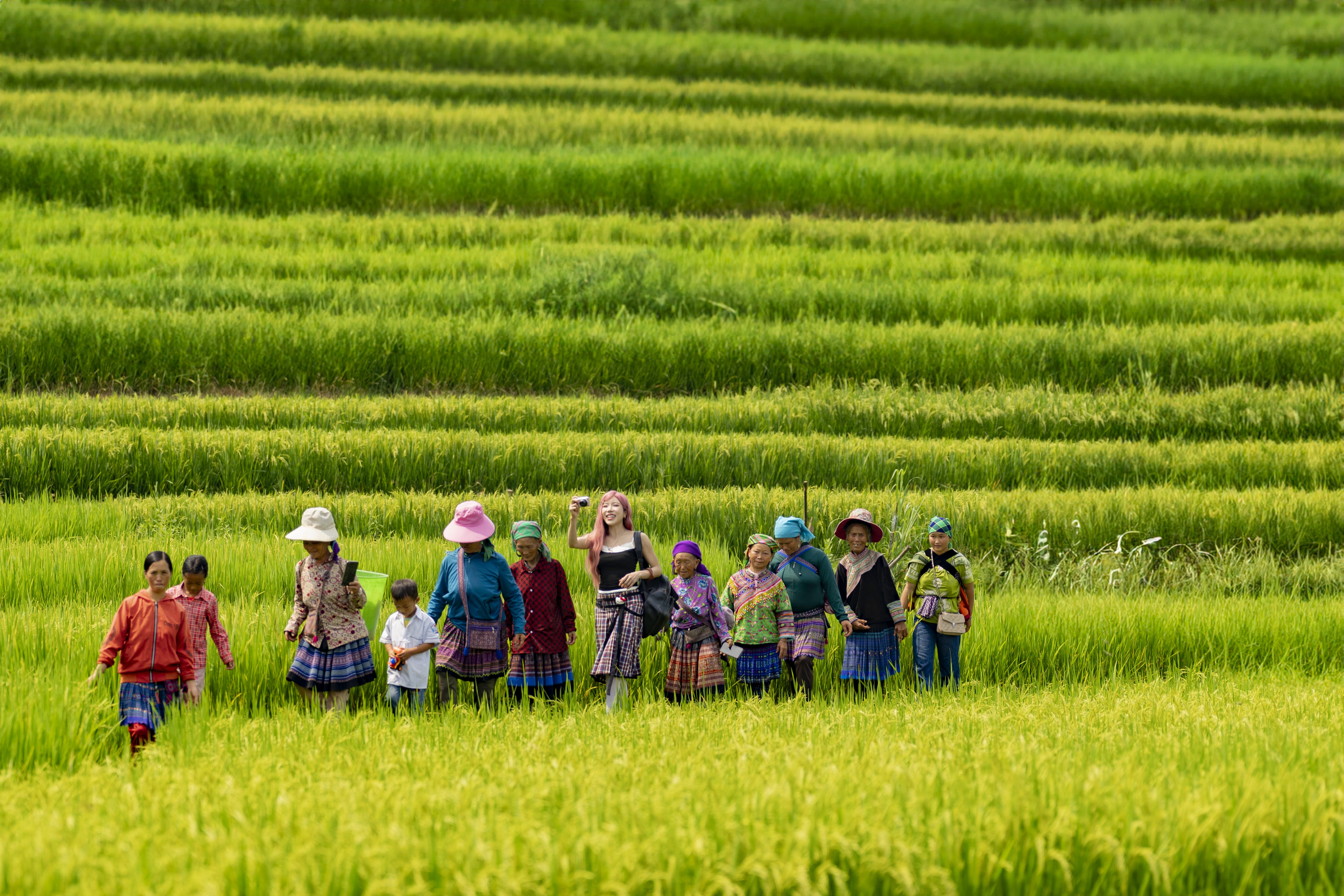 Trang Pháp hé lộ hậu trường ca khúc gây chú ý tại hòa nhạc 25.000 khán giả - 2