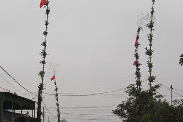 Hạ cây nêu, hai anh em bị điện giật bỏng nặng