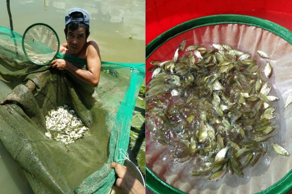 Thanh tra mổ xẻ các đề tài khoa học được chi gần 5 tỷ đồng - 1 Thanh tra “mổ xẻ” các đề tài khoa học được chi gần 5 tỷ đồng