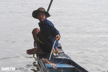 Cá vừa phóng sinh đã bị chích điện vớt lên thuyền