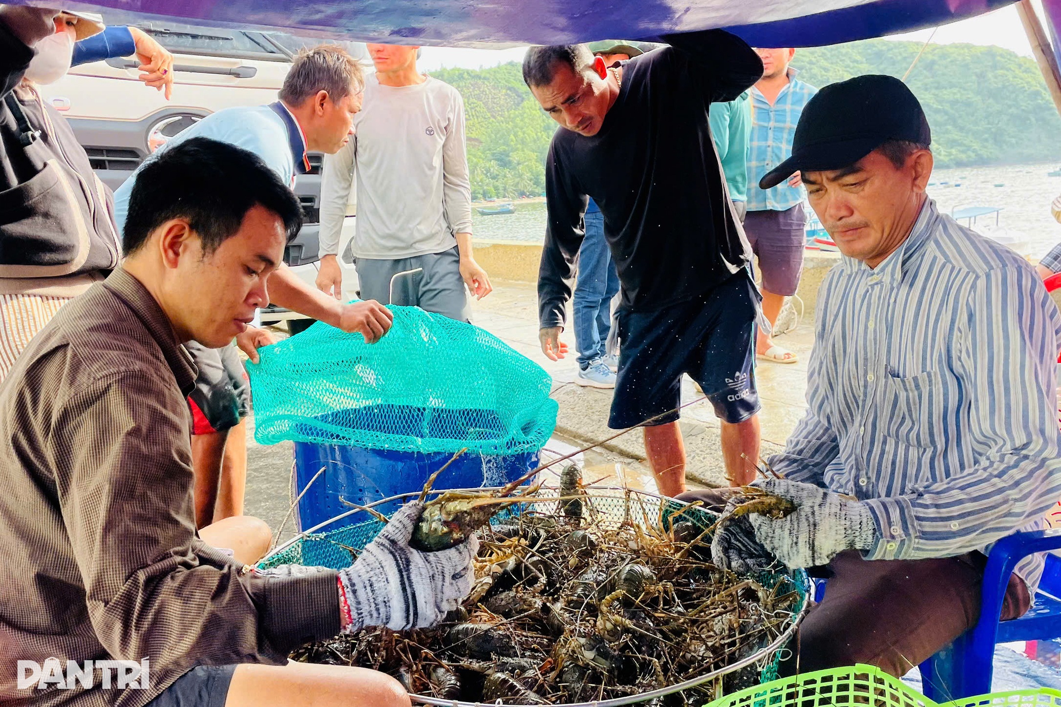 Bão Kalmaegi đưa nhiều người dân thủ phủ tôm hùm trở về tay trắng - 5