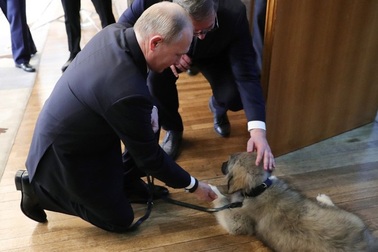 Món quà đặc biệt tổng thống Serbia tặng ông Putin