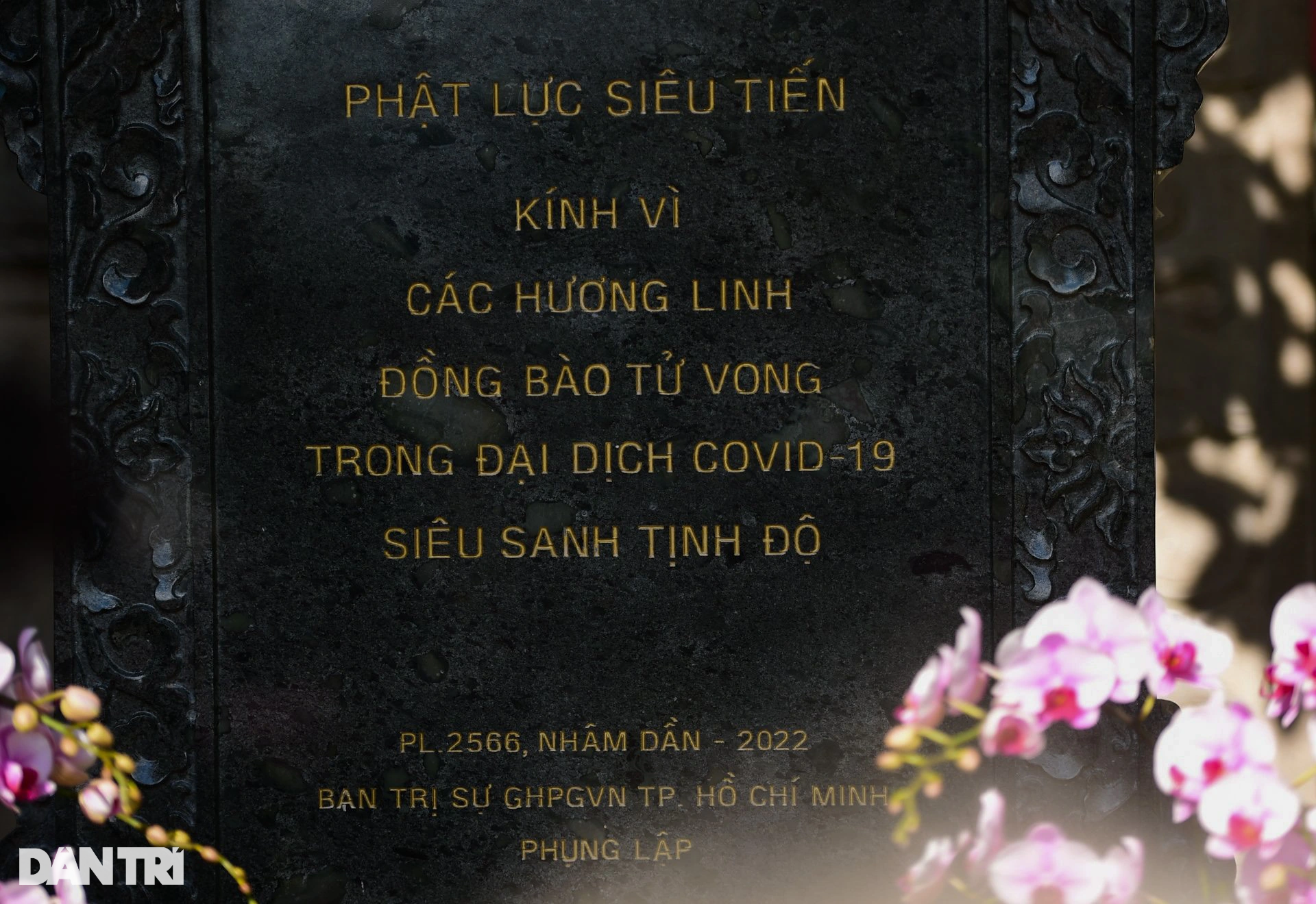 Đại lễ Tưởng niệm - Kỳ siêu giỗ đầu các nạn nhân mất do Covid-19 tại TPHCM - 13 Đại lễ Tưởng niệm - Kỳ siêu giỗ đầu các nạn nhân mất do Covid-19 tại TPHCM - 13