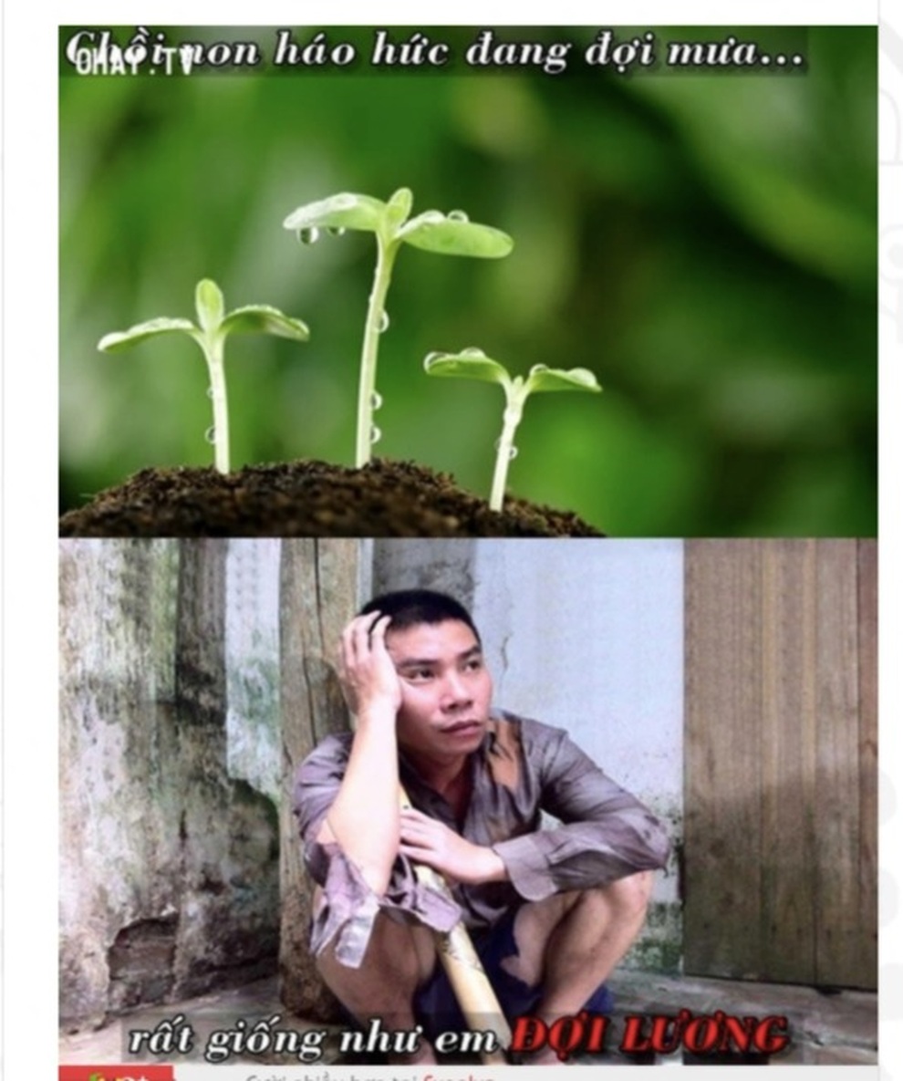 Người lao động hóng lương: Em ơi, đừng rơi nữa! - 8 Người lao động hóng lương: Em ơi, đừng rơi nữa! - 8