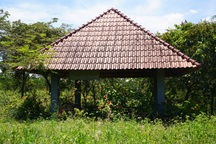 Khu dân cư mật độ thấp Giang Điền hoang tàn, cây cỏ mọc um tùm