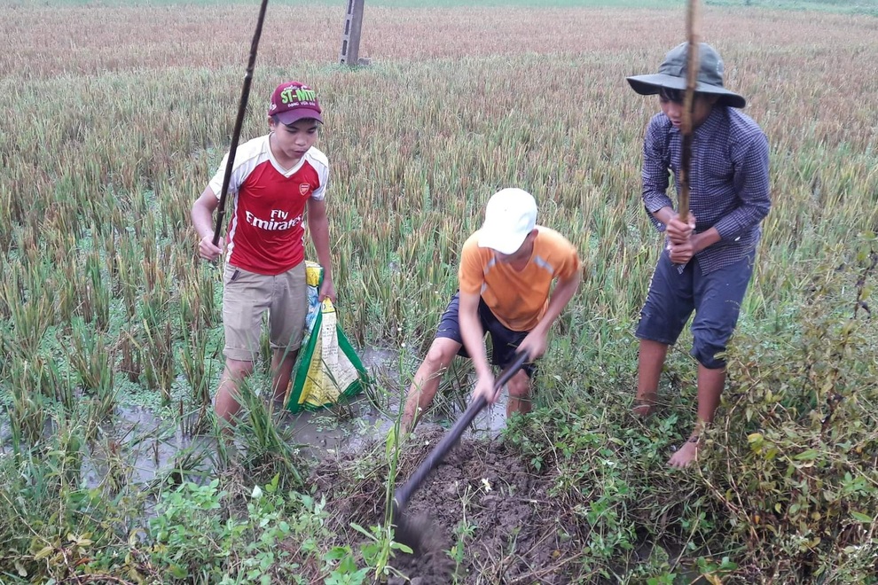 Về xứ Nghệ thưởng thức món thịt chuột đồng nức tiếng có một không hai - 2 Về xứ Nghệ thưởng thức món thịt chuột đồng nức tiếng có một không hai - 2
