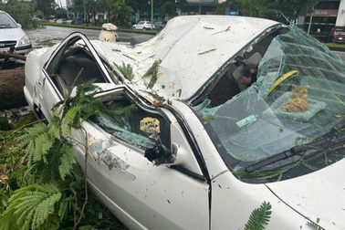 Cây xanh đổ la liệt ở KĐT Việt Hưng, nhiều chủ xe thiệt hại vì bão Yagi