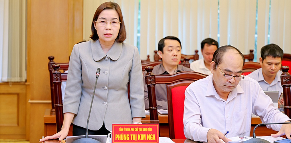 HĐND tỉnh Vĩnh Phúc giám sát việc giải quyết kiến nghị của cử tri - 2 HĐND tỉnh Vĩnh Phúc giám sát việc giải quyết kiến nghị của cử tri - 2