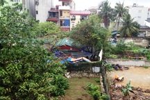 Thanh Hóa: Lập dự án lấy đất của dân bán cho doanh nghiệp