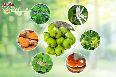 Hỗ trợ điều trị sỏi mật hiệu quả nhờ phương pháp 4T