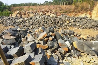 Hài hước “đá tặc” đi đóng thuế: Giao Thanh tra kiểm tra quy trình xử lý