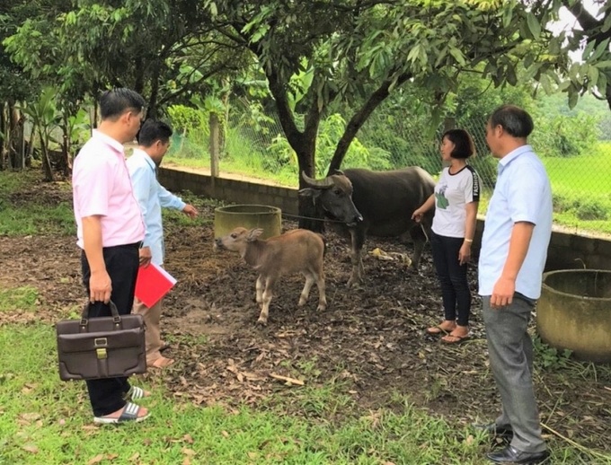 Lãnh đạo Ngân hàng CSXH Chi nhánh tỉnh Tuyên Quang kiểm tra việc sử dụng nguồn vốn vay tại huyện Chiêm Hóa
