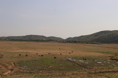 Đắk Nông: Hàng nghìn hộ dân "mỏi mắt" ngóng gần 15 tỷ đồng hỗ trợ thiệt hại do hạn hán