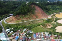 Đồi thông ở Đà Lạt sạt trượt, người dân sống trong lo lắng