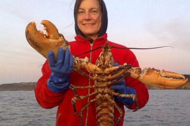 Con tôm khổng lồ dài gần 1 mét