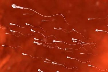 Bí kíp “cải tạo” chất lượng tinh binh