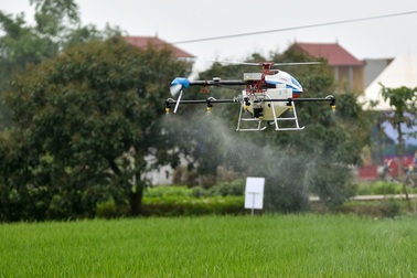 Thử nghiệm máy bay không người lái phun thuốc phòng trừ châu chấu sa mạc
