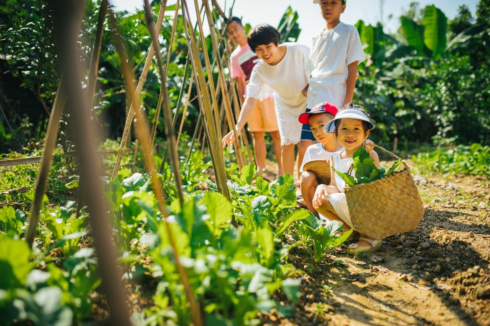 Ngôi nhà trong mơ trên đỉnh núi gần Hà Nội: Cá đầy ao, vườn đầy hoa trái - 17 Ngôi nhà trong mơ trên đỉnh núi gần Hà Nội: Cá đầy ao, vườn đầy hoa trái - 17