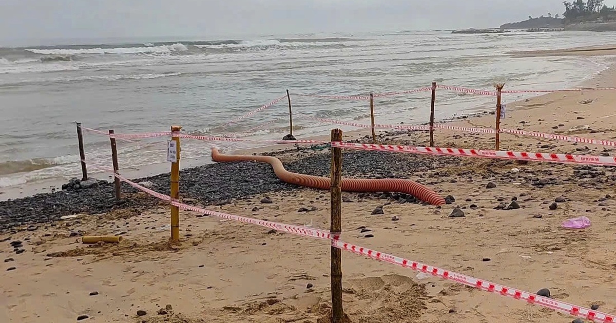 Cáp ngầm xuyên biển đưa điện ra đảo Lý Sơn bị sóng đánh lộ thiên