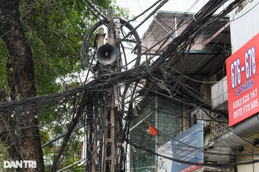 Tiến thoái lưỡng nan giữa "rừng" quy hoạch