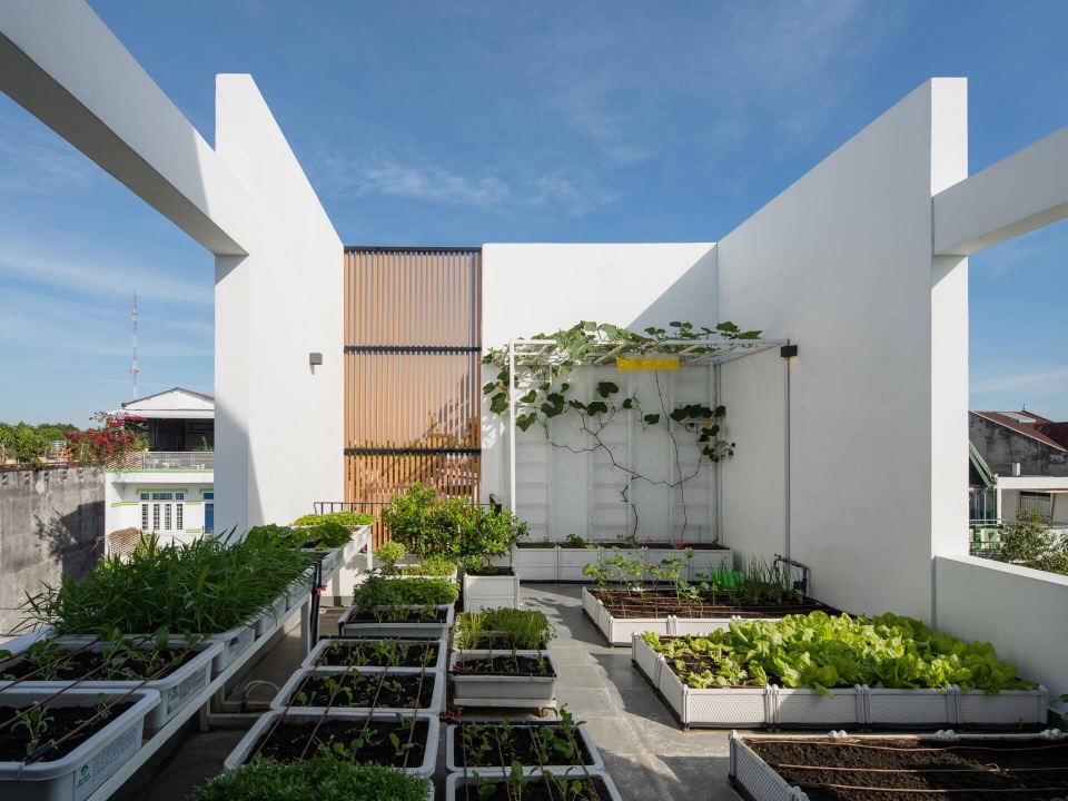 Ngắm mãi không chán, ngôi nhà Vũng Tàu xanh từ mặt tiền lên sân thượng - 8