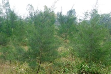 Hiến hàng trăm ha đất xây dựng “nông thôn mới”