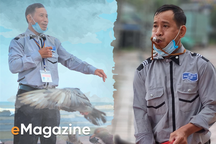 Chuyện về người đàn ông thổi hồi còi, cả nghìn con chim bay tới vây quanh