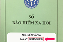 BHXH VN: Hướng dẫn 3 cách tra cứu mã số BHXH để khai báo y tế điện tử