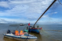 Xử phạt chủ tàu cá dùng kích điện khai thác thủy sản trên đầm Thị Nại