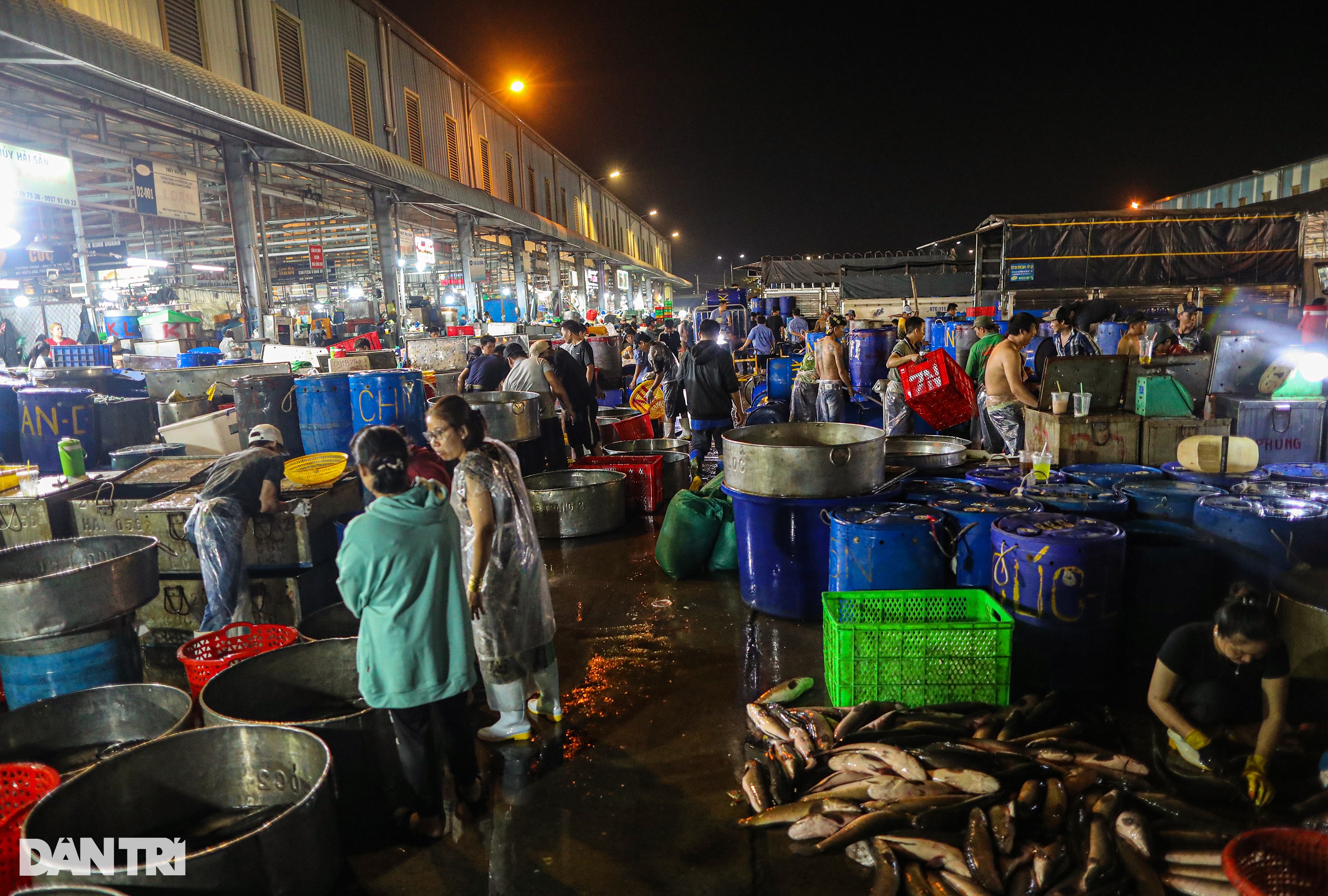 Chợ cá lóc lớn nhất TPHCM tất bật trước ngày vía Thần Tài - 2